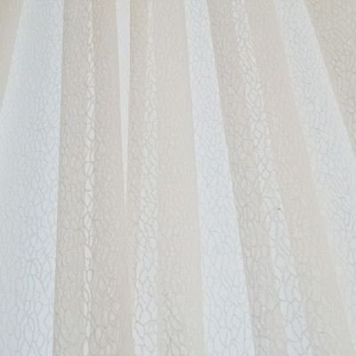 Adam00795790304's profile picture. 