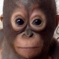 JUICE (@juice8882) 's Twitter Profile Photo JUICE (@juice8882) 's Twitter Profile Photo