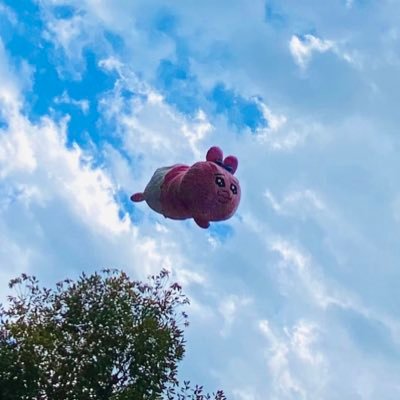 ganba_ro91's profile picture. n＝1/06/現役全落ちが人生変える物語/慶応志望