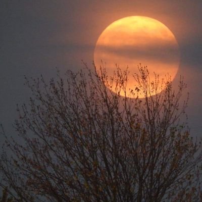 kingponto01's profile picture. Gratitude is a must knw this and knw peace ❤️💯