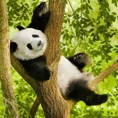 raysso12's profile picture. love sums it all