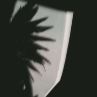 dvnte (@dvnt3e) 's Twitter Profile