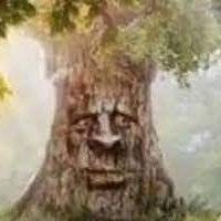 ZER0SHIKIii's profile picture. 