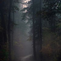 s.h. (@dt5731981) Twitter profile photo