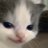 Profile image of Miyamoto