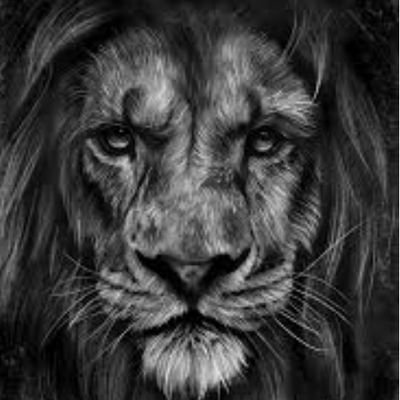 British ,will not follow the sheeple. Pure blood .Reform and MAGA.Anti woke,want my country https://t.co/WTN7G99HYY DMS.