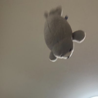 SAbato_re's profile picture. 日常垢
演劇垢(@nk_egk_ok)