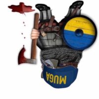 Berserker Fella (@berserkerfella) 's Twitter Profile