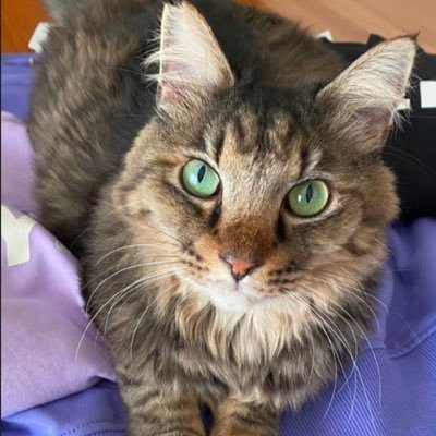 BLUEdal0317's profile picture. 