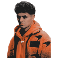 ℒ𝗮𝗻𝗱𝗼 𝒩𝗼𝗿𝗿𝗶𝘀。 (@g0ldenbuilder) 's Twitter Profile