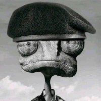 RānGo (@d_rango01) 's Twitter Profile