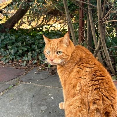 _phoebesanders_'s profile picture. 