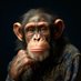 Mister Monkey_Fr (@wonderjbb_) Twitter profile photo Mister Monkey_Fr (@wonderjbb_) Twitter profile photo