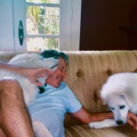 Shanethegreat (@shanemart123) 's Twitter Profile