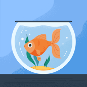 nmlku55156917's profile picture. Web 3 & Complex Problem Solving