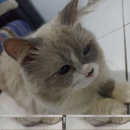 243_dazka's profile picture. Alien