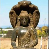 Rajesh Patel (@rajeshp0102) 's Twitter Profile Photo Rajesh Patel (@rajeshp0102) 's Twitter Profile Photo
