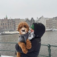 Alice Lucy (@alice_lucy519) 's Twitter Profile