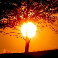 Soledad (@aass00000) 's Twitter Profile Photo