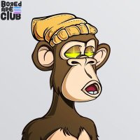 Lilo (@liloo_sol) 's Twitter Profile Photo Lilo (@liloo_sol) 's Twitter Profile Photo