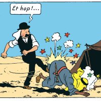 Tintin Chez Les Dhimmis (@lucasterri96108) 's Twitter Profile