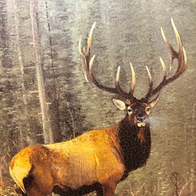 Taylor13883Josh's profile picture. 