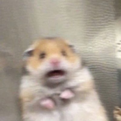 moonpieyieng's profile picture. unavailable