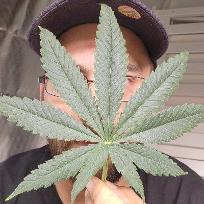 🪴 cannabis enthusiast 🪴, novice gardener 🌱, trash gamer 🎮
