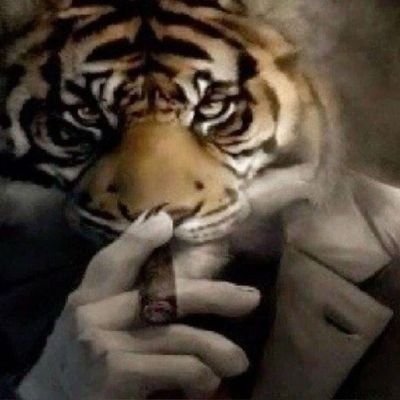 Cricket | Gaming | Football | 20 | Lurking sometime on TwT