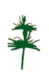 BastropRelief's profile picture. Bastrop County Disaster Recovery Center/MAIN,  a 501c3 nonprofit, works directly with fire survivors by providing services & calling volunteers to action!