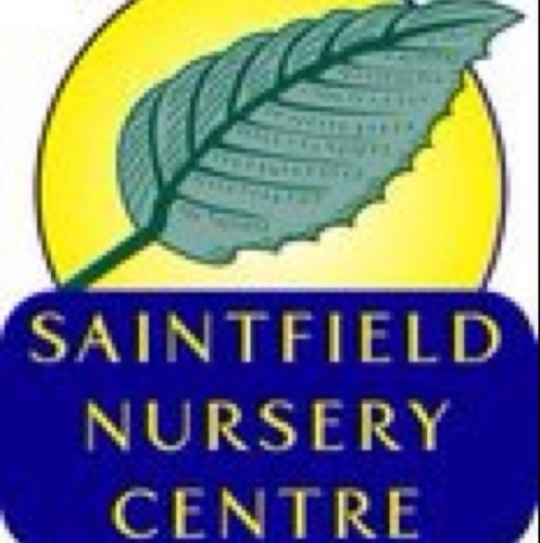 SFieldNursery's profile picture. 