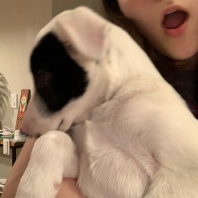 stellayyo's profile picture. sobredosis de pop