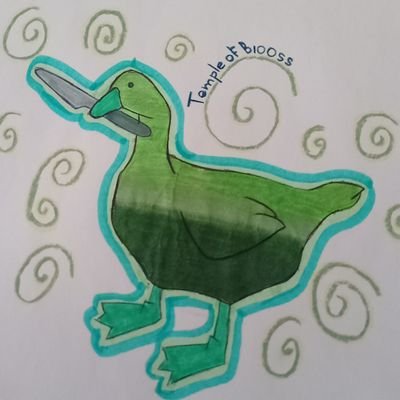 MBioos84409's profile picture. 