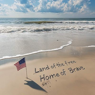 hashimawal782's profile picture. 