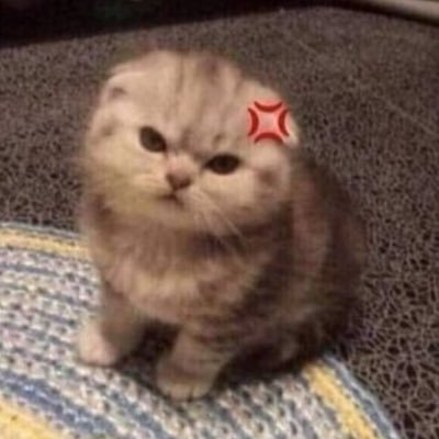 ☾ ﾟ｡⋆☆⋆｡𖦹°‧★⋆˚🐾˖°