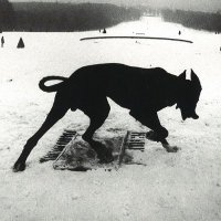 Aps The Twentieth @ FUNNY RAVE PT. III 2025 (@theapsy17) 's Twitter Profile