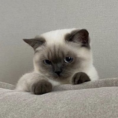 smilemamoo's profile picture. 🐥ชอบสีฟ้า|ชอบทะเล|ชอบธรรมชาติ☘️|ชอบภูเขา|ชอบเดินป่า|ชอบอ่านหนังสือlหัดถ่ายรูป📷l StepByStep | Live What You Love I || l love my life||IGOT7💚JAYB🐣 #DefBParts