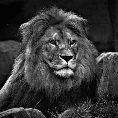 Direction_Media's profile picture. Aiming higher