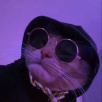 Hamada. (@hamada_khalil25) 's Twitter Profile Photo