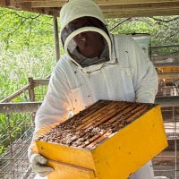 James Foster (@humblebeekeeper) 's Twitter Profile Photo James Foster (@humblebeekeeper) 's Twitter Profile Photo