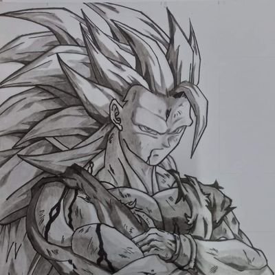 sinzal Profile