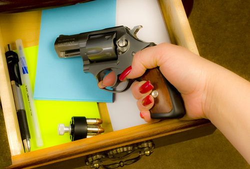 We are NRA Certified Instructors.  We offer Wisconsin Concealed Carry courses, NRA courses, Realty Concealed Carry & Personal Protection courses and more...
