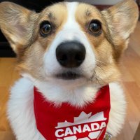 Nose Rub (@noserubinvest) 's Twitter Profile