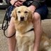 Bryan (@k9kazoo) Twitter profile photo Bryan (@k9kazoo) Twitter profile photo