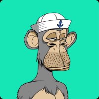 Sailor Ape 🍌 (@sailorape672) 's Twitter Profile