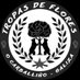TropasDeFlores (@tropasdeflores) Twitter profile photo TropasDeFlores (@tropasdeflores) Twitter profile photo