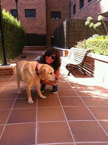 Criicrii7's profile picture. “He fallado una y otra vez en mi vida, por eso he conseguido el éxito.” Michael Jordan.