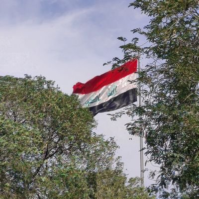 HayderAnsam's profile picture. 