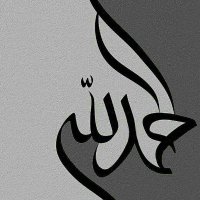 Finn 𝕏 (@majorbasheer_) 's Twitter Profile