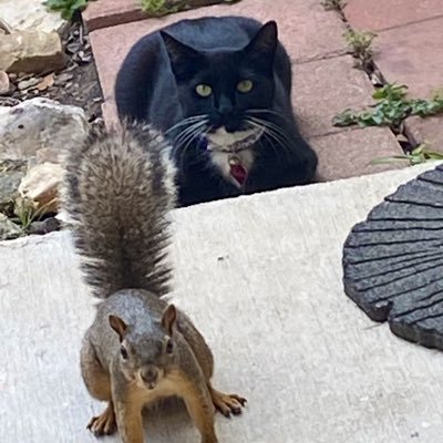 Hope71849223's profile picture. 